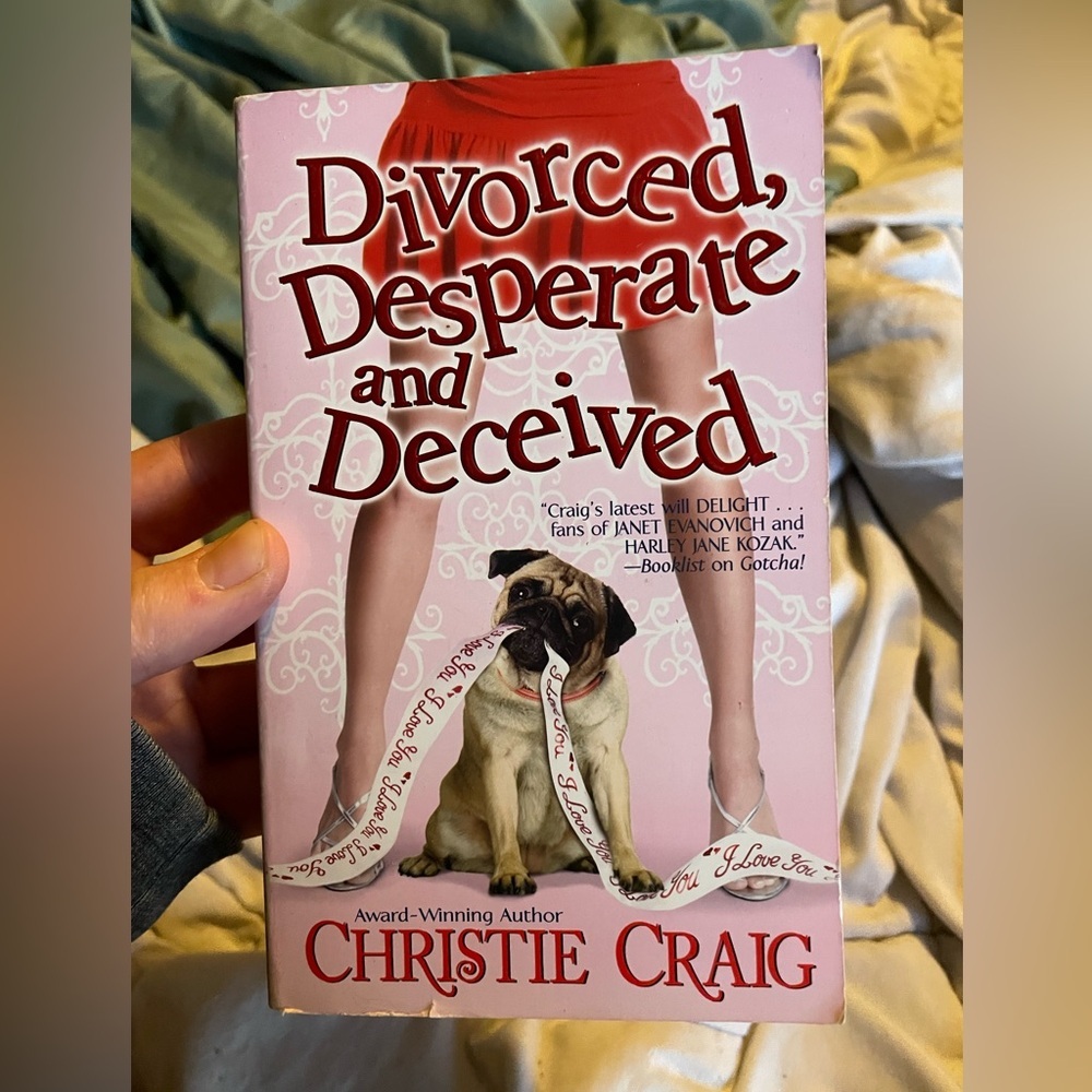 5/$15 • NOVEL | Divorced, Desperate and Deceived by an award-winning author
